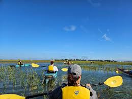 Image result for Georgia Tech Kayak Team