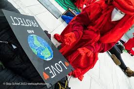 Image result for Reddish Rebels