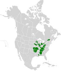 Image result for Moxostoma carinatum