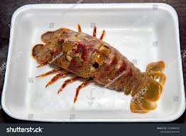 Image result for Scyllarides latus