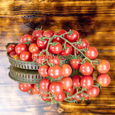 Afbeeldingsresultaat voor rose quartz tomato
