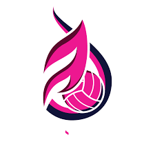 Image result for Flava Netball Club