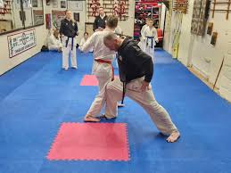 Image result for Chikara Dojo Of Kyokushin Karate