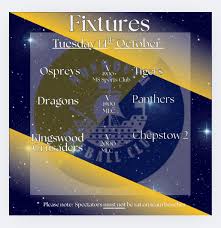 Image result for Monmouth Netball Club