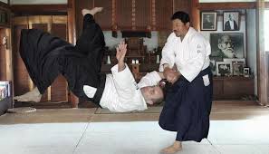 Image result for Iwama Shin Shin Aiki Shuren Kai