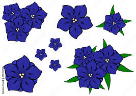 Image result for Enzian