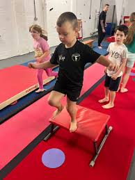 Image result for King Edmund Acro Gymnastics Club