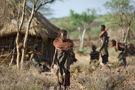 Image result for The Nomads R.H.C.