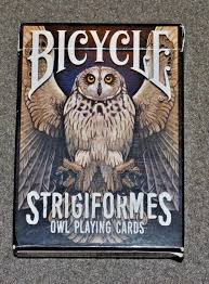 Attēlu rezultāti vaicājumam “Strigiformes”