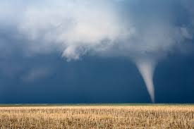 Image result for Tadcaster Tornadoes