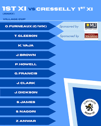 Image result for Bronwydd Cricket Club