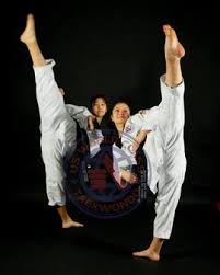 Image result for Martial Art Centre of Excellence