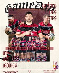 Image result for Stirling Wolves