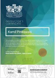 Image result for Fighting Arts Organisation of Great Britain