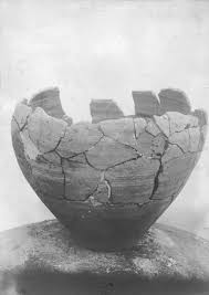 Image result for Surrey Heath Slammers