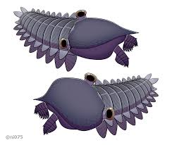 Attēlu rezultāti vaicājumam “Harmandia”