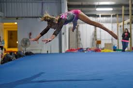 Image result for Vernon Park Gymnastics