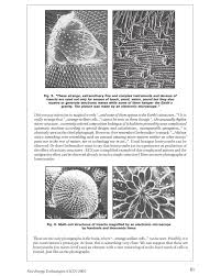 Image result for Viktor Grebennikov