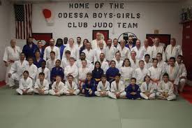 Image result for widnes judo