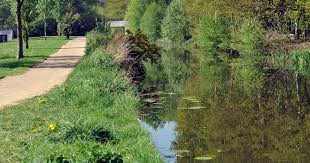 Image result for Basingstoke Sc