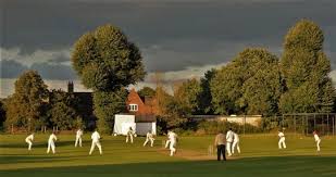 Image result for LITTLE GADDESDEN CRICKET CLUB