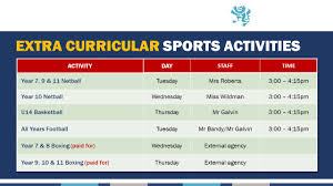 Image result for maiden Erlegh Subbuteo Club