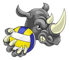 Image result for Rhinos Volleyball Club
