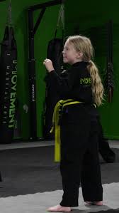 Image result for Cumming Martial Arts Center