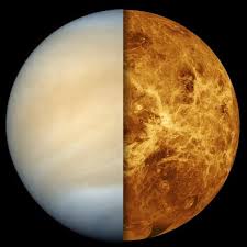 Image result for venus