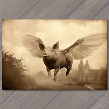 Image result for flying pigs