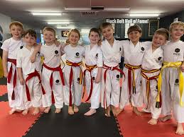 Image result for Phoenix Martial Arts