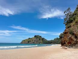 Image result for new chums beach