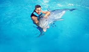 Image result for Discover Swimming