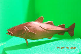 Image result for Gadus macrocephalus