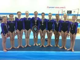 Image result for Wyre Forest School Of Gymnastics
