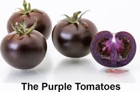 Afbeeldingsresultaat voor prudence purple tomato