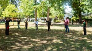 Image result for Wushu Tai Chi Club