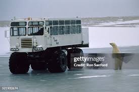 Image result for tundra buggy