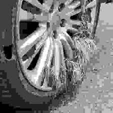 Image result for 4870315629