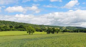 Image result for Ramblers Association - Mole Valley Group