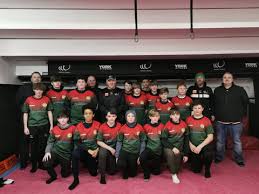 Image result for Halton Farnworth Hornets Rugby League Football Club