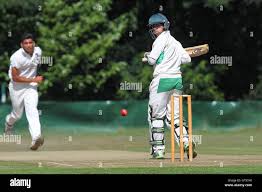 Image result for Ilford Cricket Club