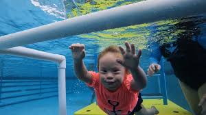 Image result for Dolphins Sheltered & Disabled Swim Club