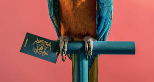 Image result for Earls Gc