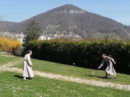 Image result for visitandines