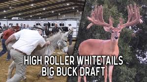 Image result for Big Bucks High Rollers