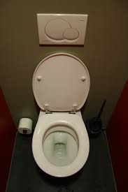 Image result for german toilet