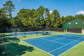 Image result for Henfield Tennis Club