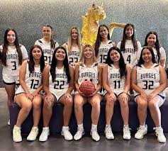 Image result for Elmbridge Girls Basketball Club