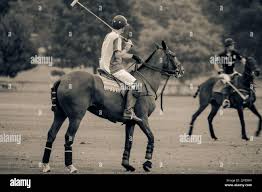 Image result for Kirtlington Park Polo Club